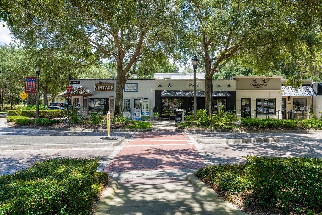 325 Magnolia Street Windermere, FL 34786 - Photo 49 of 52