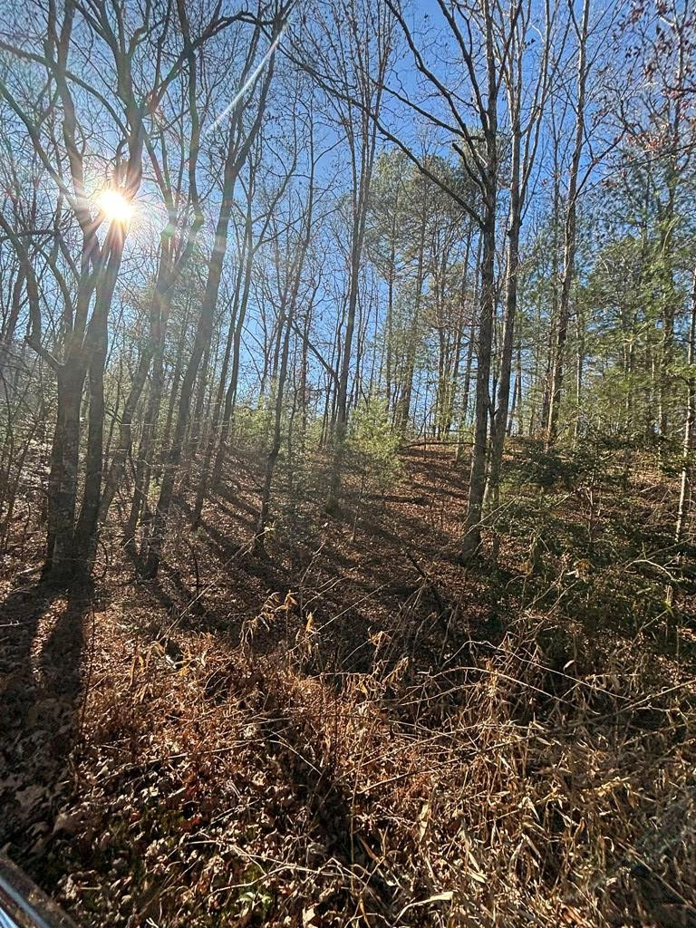 1.03 Deep Frst Road Murphy, NC 28906 - Photo 18 of 28