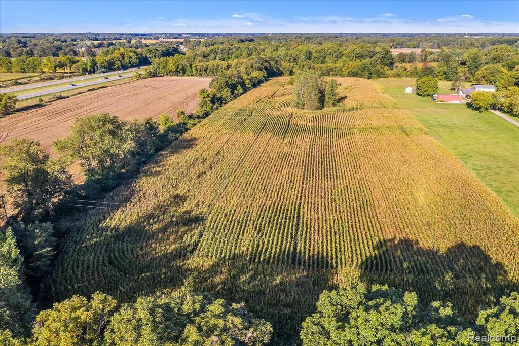 0 North Gramer Road Webberville, MI 48892 - Photo 12 of 12