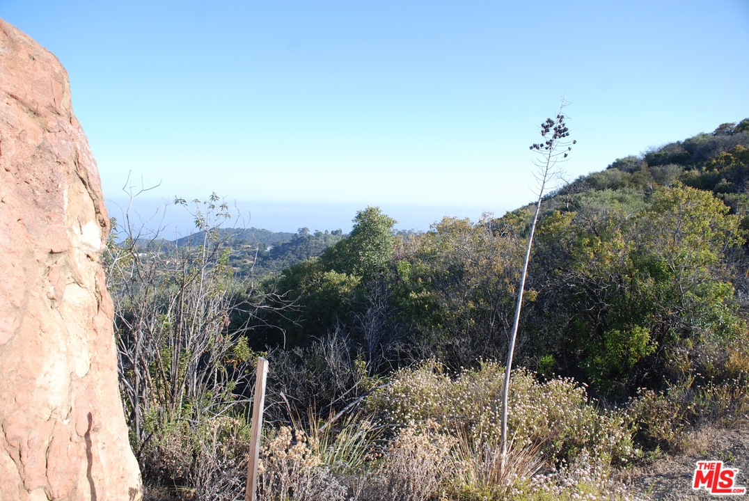 38 Saddle Peak Road Topanga, CA 90290 - Photo 15 of 32