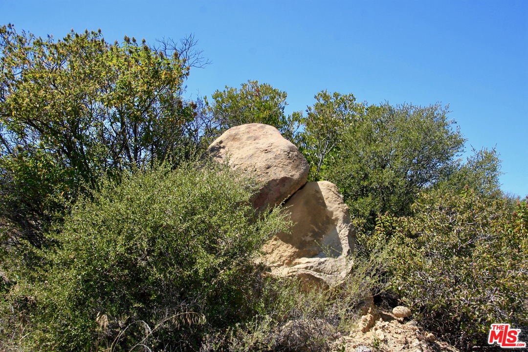 38 Saddle Peak Road Topanga, CA 90290 - Photo 25 of 32