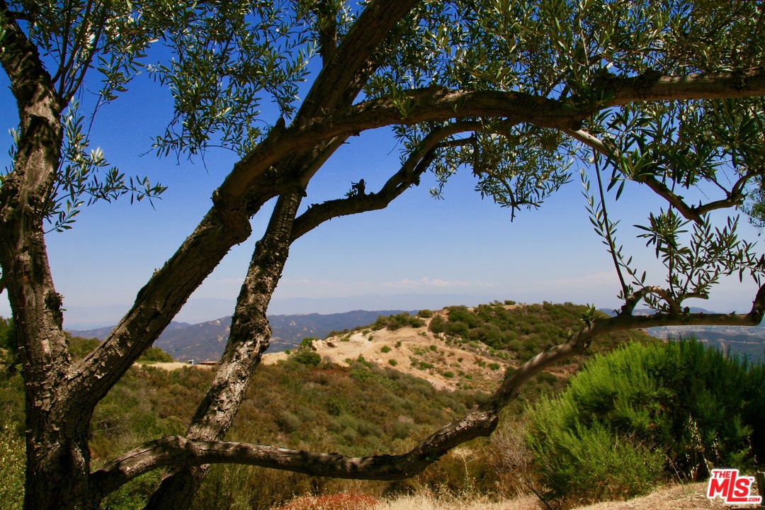 38 Saddle Peak Road Topanga, CA 90290 - Photo 26 of 32