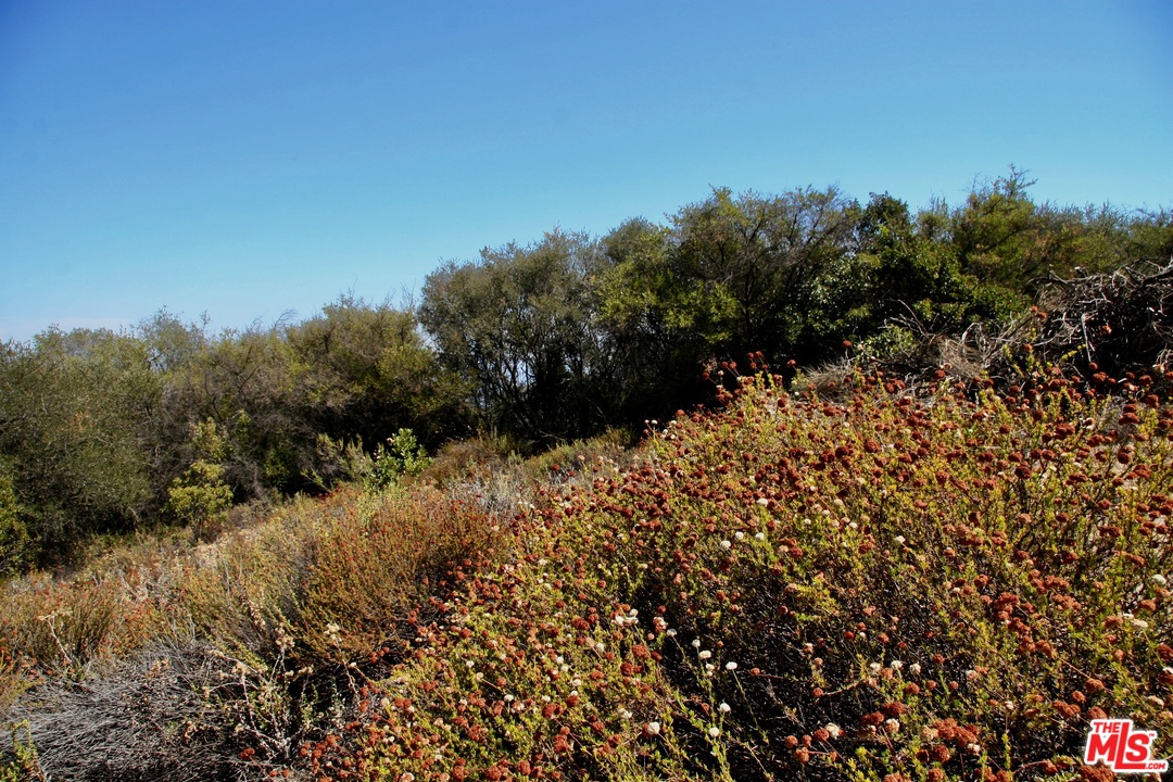 38 Saddle Peak Road Topanga, CA 90290 - Photo 28 of 32