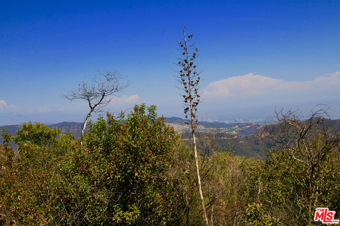 38 Saddle Peak Road Topanga, CA 90290 - Photo 4 of 32