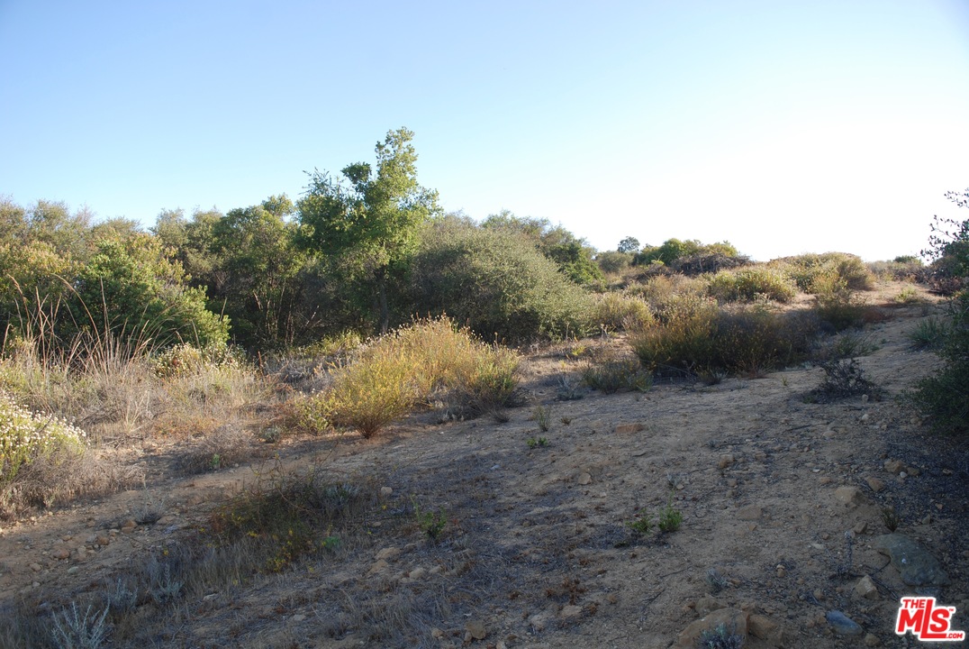 38 Saddle Peak Road Topanga, CA 90290 - Photo 5 of 32