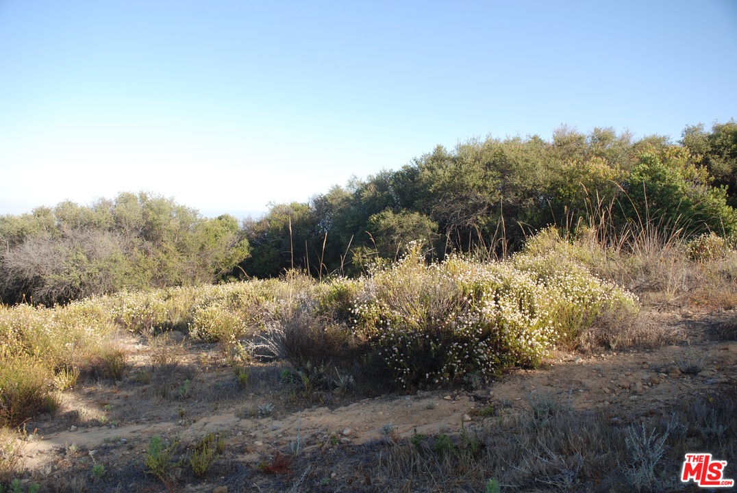 38 Saddle Peak Road Topanga, CA 90290 - Photo 6 of 32