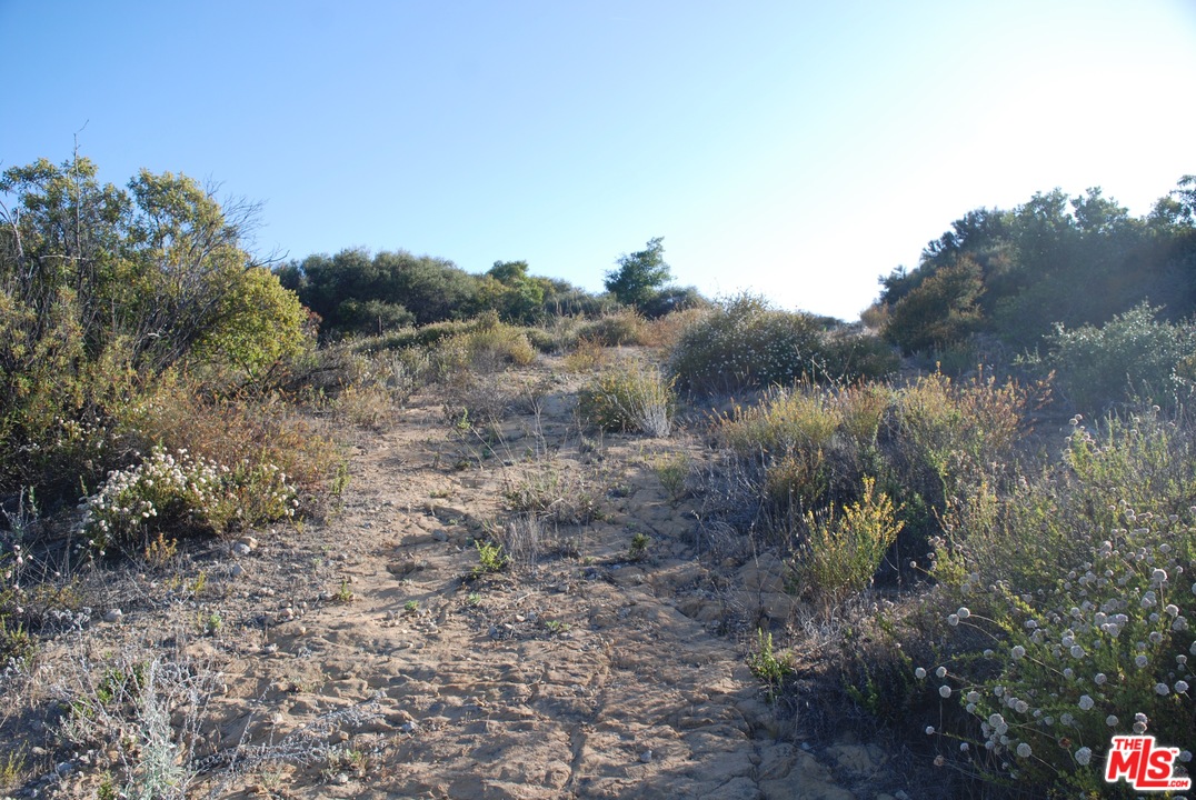 38 Saddle Peak Road Topanga, CA 90290 - Photo 9 of 32