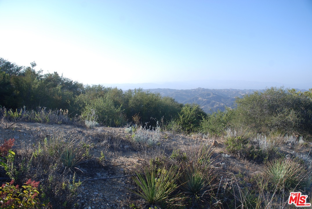38 Saddle Peak Road Topanga, CA 90290 - Photo 10 of 32