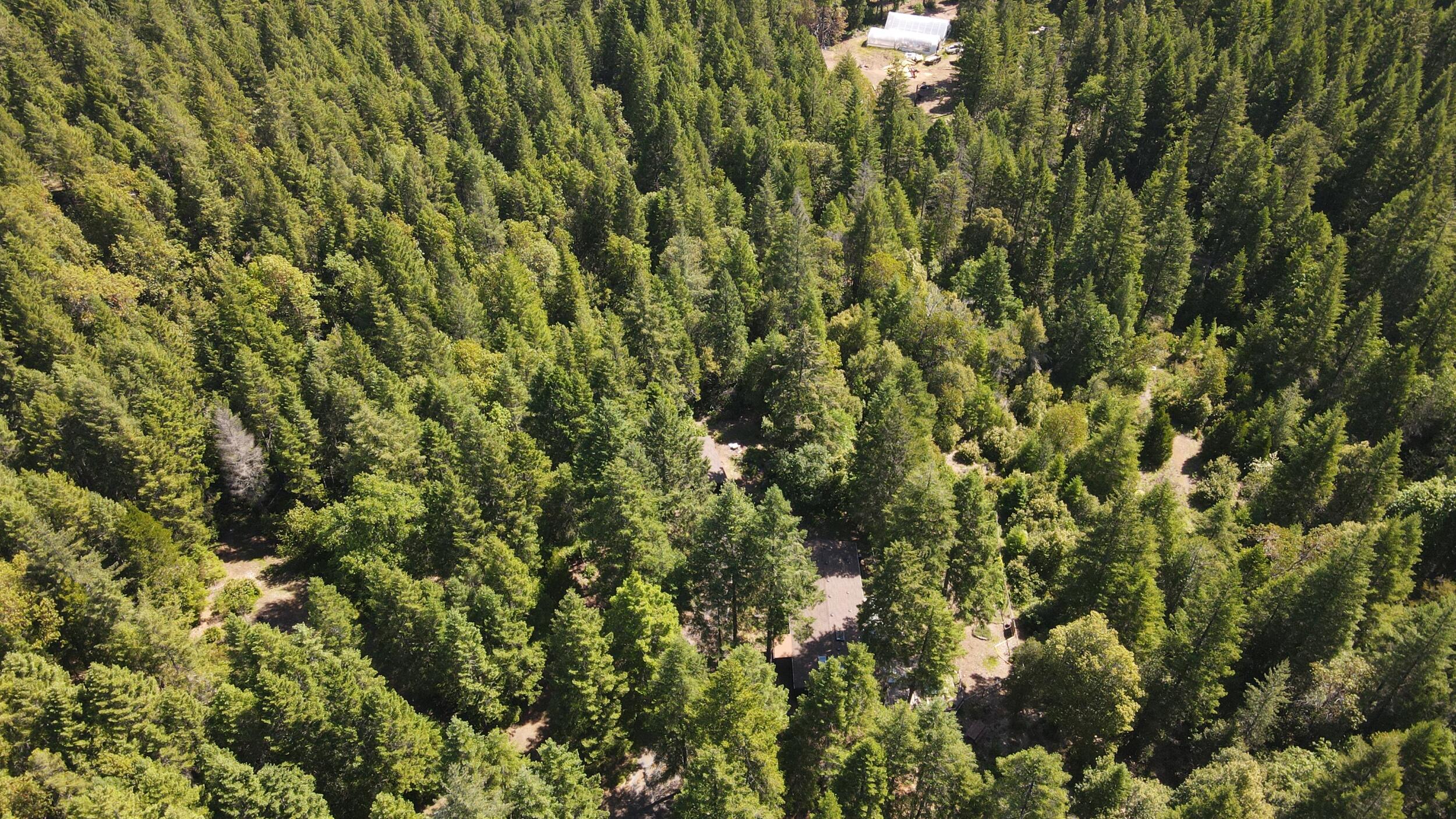 724 3 Mill Road Selma, OR 97538 - Photo 55 of 57 55_dji_0649