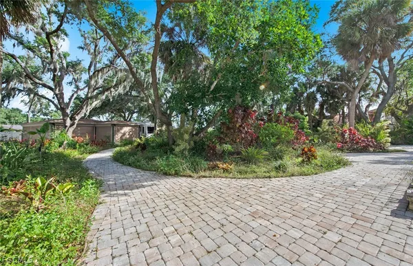 a view of a pathway with flower plants