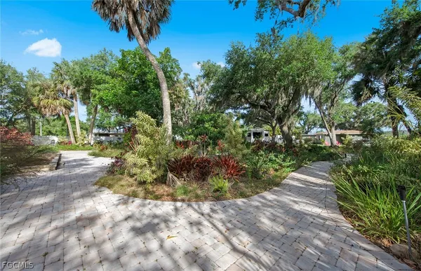 a view of a garden with plants