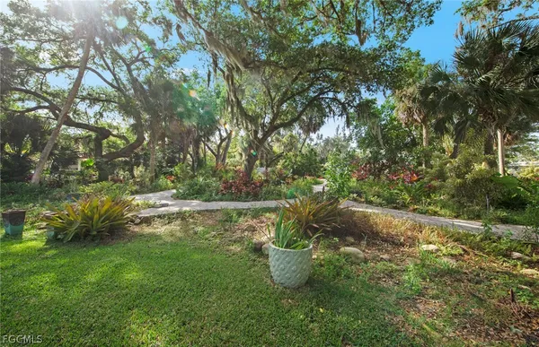 a view of a pathway with a tree