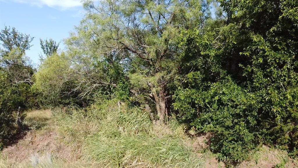 Tbd Ballew Springs Road Weatherford, TX 76088 - Photo 15 of 20 a view of a yard with a tree