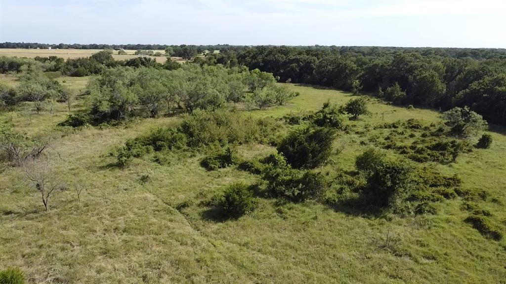 Tbd Ballew Springs Road Weatherford, TX 76088 - Photo 2 of 20 a view of a lush green forest with lots of trees