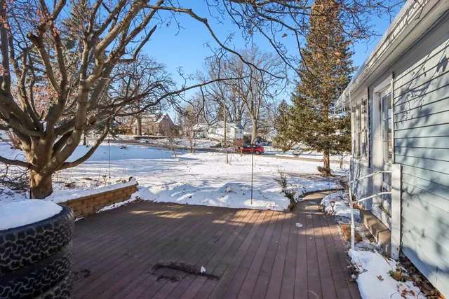 a row of palm trees in front of a house