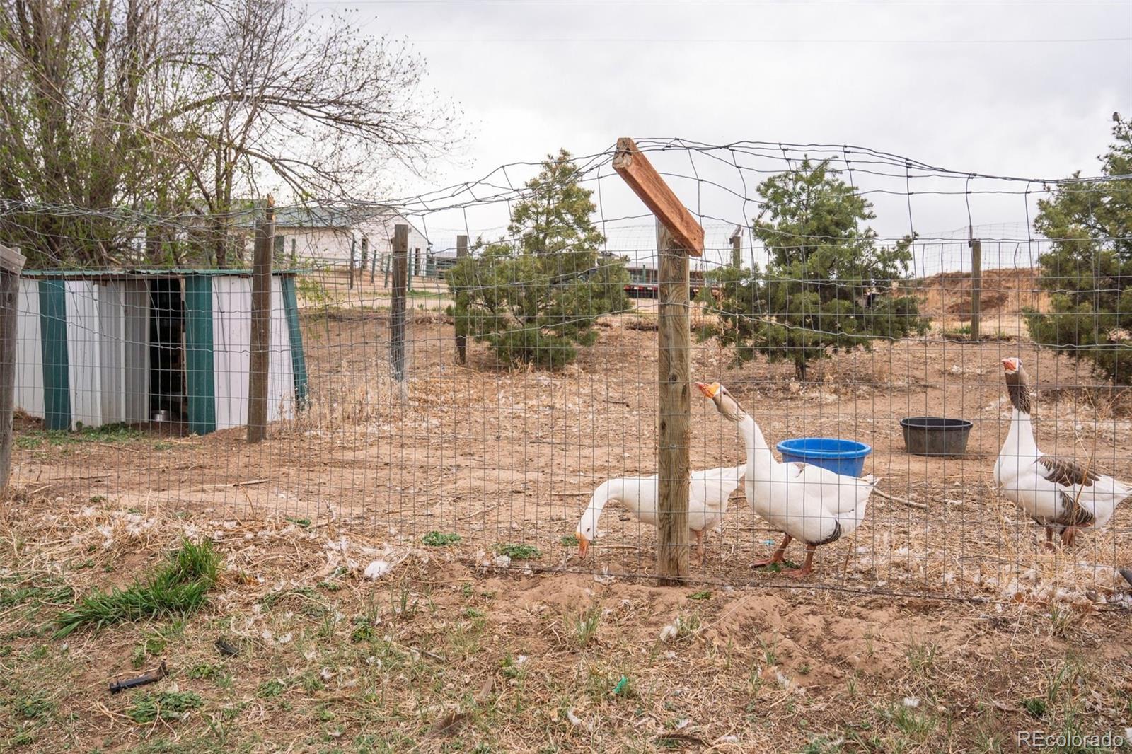 5430 Murr Road Peyton, CO 80831 - Photo 25 of 50
