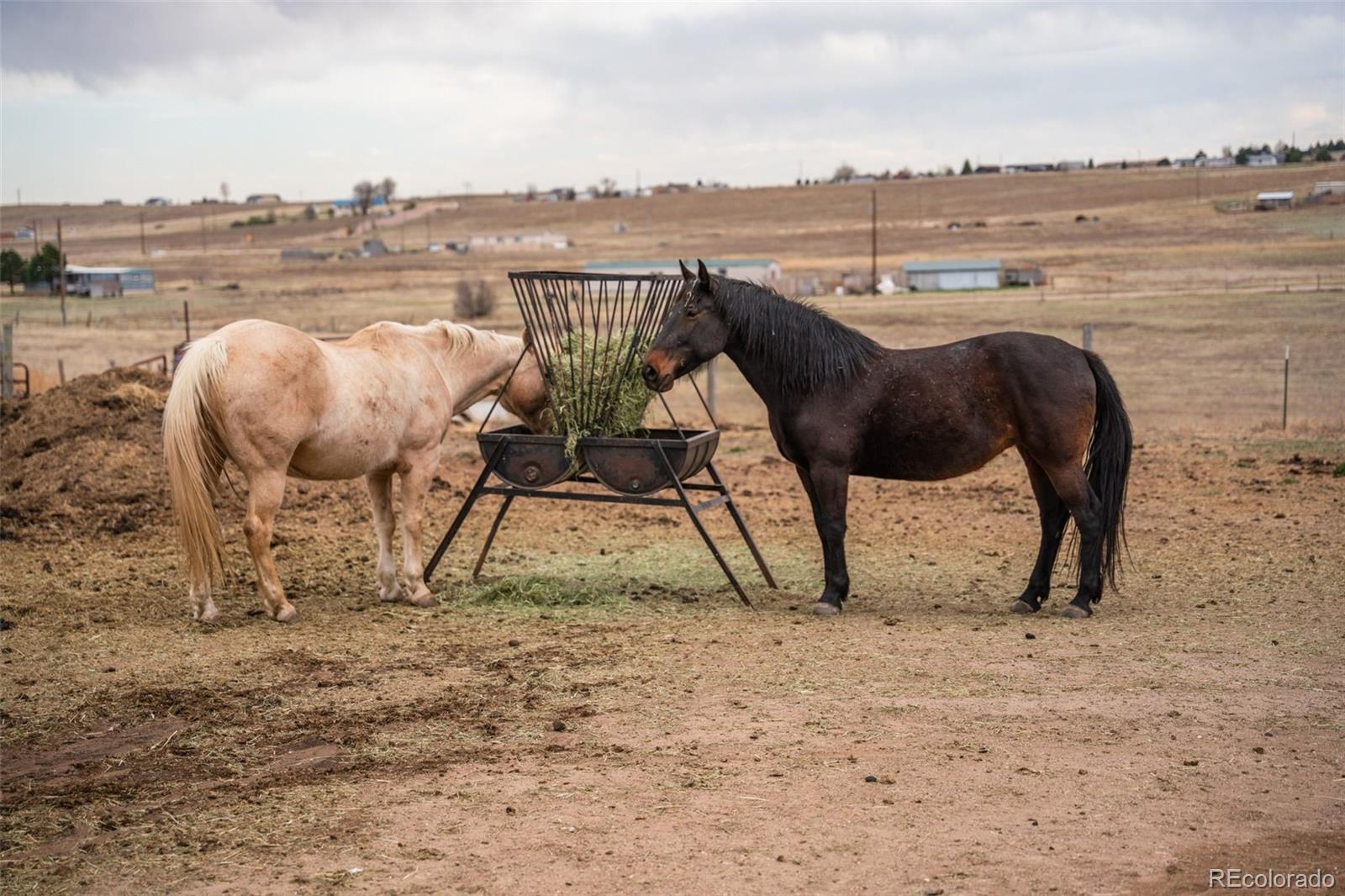 5430 Murr Road Peyton, CO 80831 - Photo 26 of 50