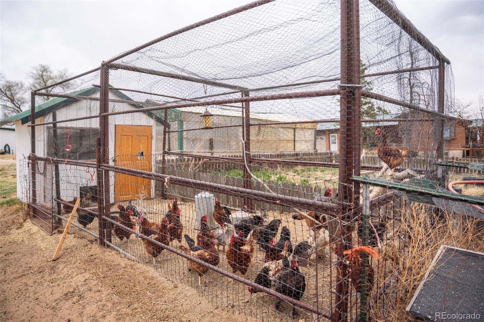 5430 Murr Road Peyton, CO 80831 - Photo 27 of 50