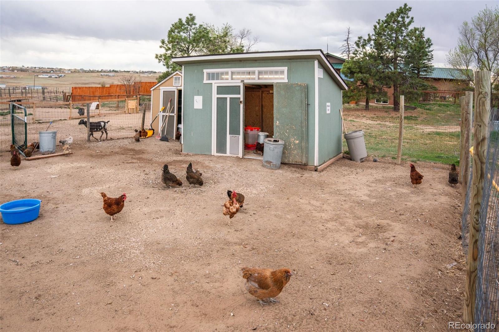 5430 Murr Road Peyton, CO 80831 - Photo 28 of 50