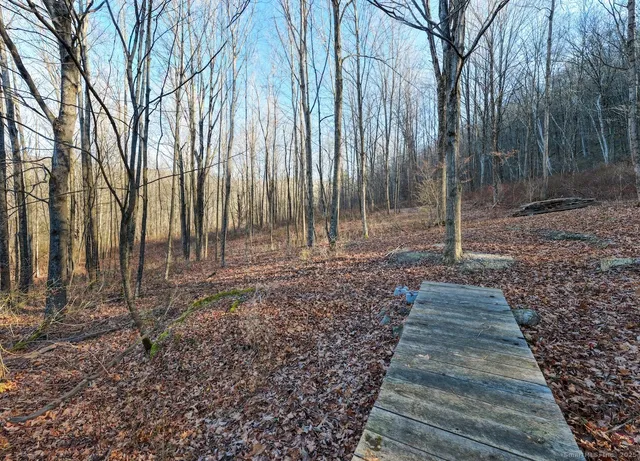a backyard of a house with lots of green space