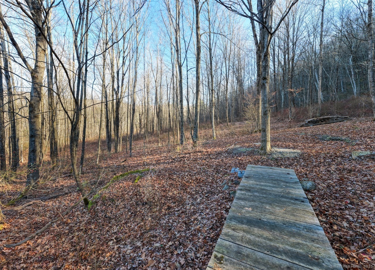 66 Barnes Road Canaan, CT 06031 - Photo 11 of 15 a backyard of a house with lots of green space