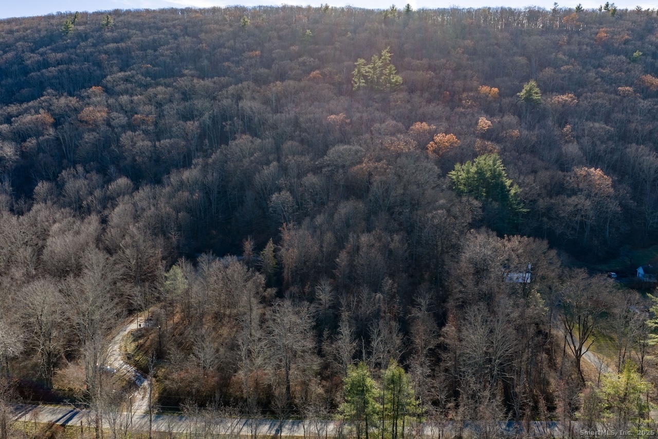 66 Barnes Road Canaan, CT 06031 - Photo 12 of 15 a view of a forest