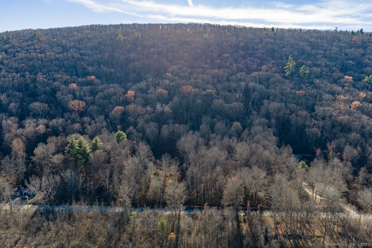 66 Barnes Road Canaan, CT 06031 - Photo 6 of 15 a view of a forest