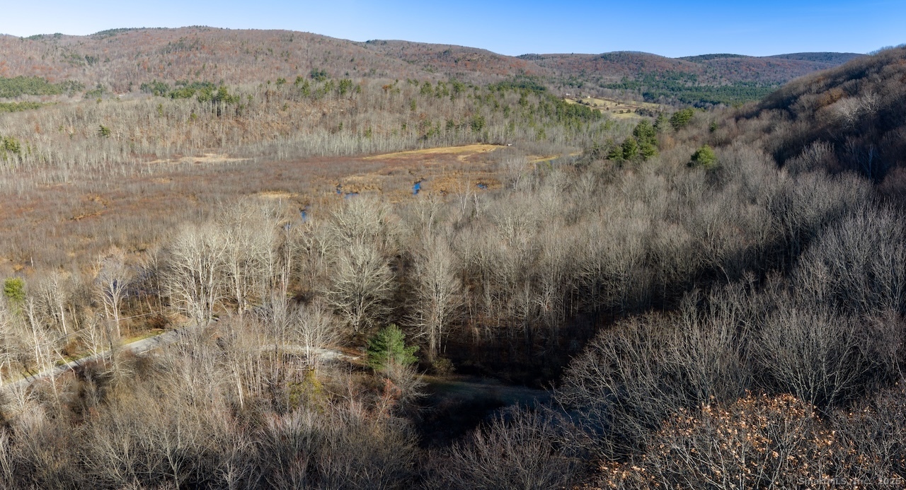 66 Barnes Road Canaan, CT 06031 - Photo 7 of 15 a view of a lush green forest with trees in the background