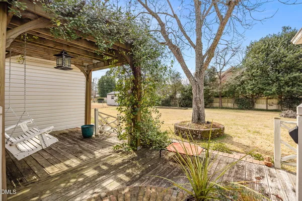 a view of a yard with plants and large trees