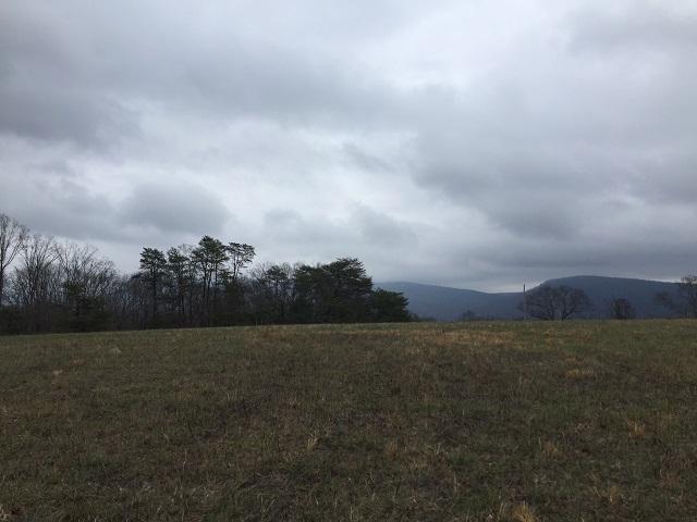 2 Francis Spring Road, Unit 2 Whitwell, TN 37397 - Photo 2 of 5 IMG_3317