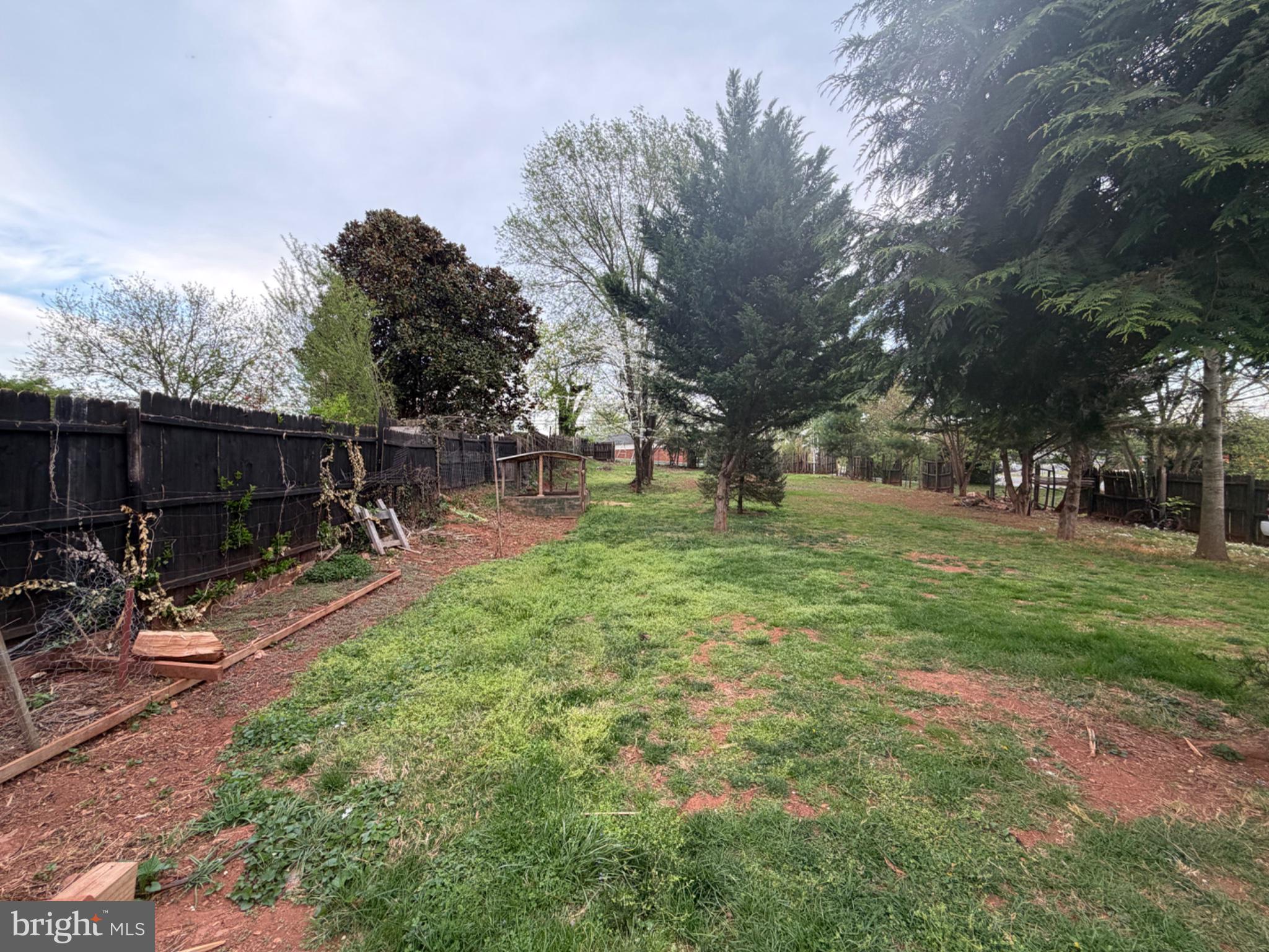 1235 South Blue Ridge Avenue Culpeper, VA 22701 - Photo 5 of 20 Spacious backyard with lush greenery.