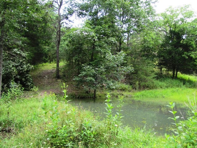 Stinking Lick Creek Road Ballard, WV 24918 - Photo 1 of 16 Gallery Image 1