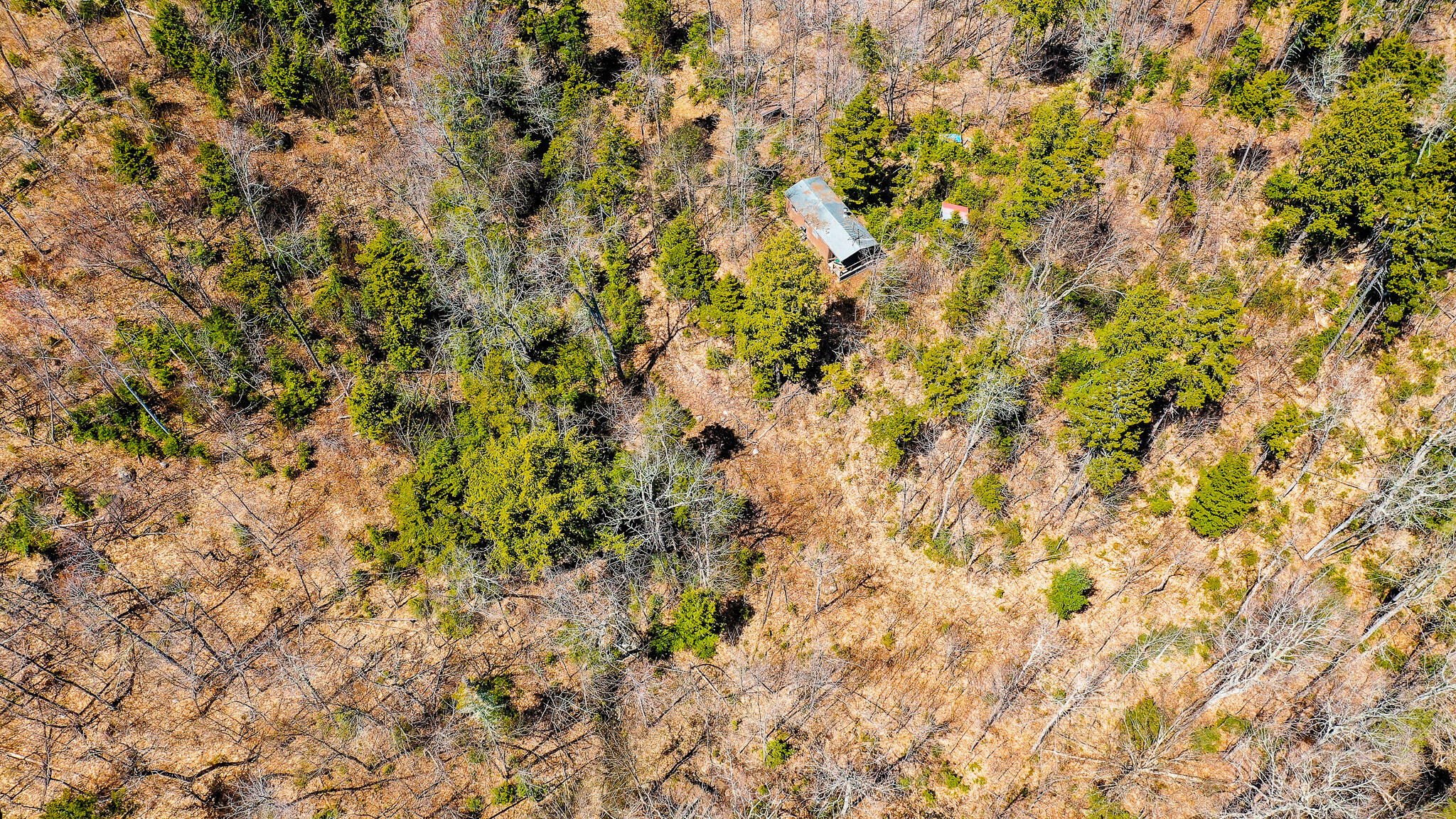 Lot 17.1 Blanchard Mountain Road New Portland, ME 04961 - Photo 14 of 30 186 Acres + Cabin!