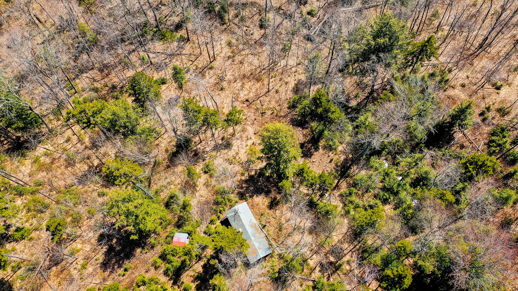 Lot 17.1 Blanchard Mountain Road New Portland, ME 04961 - Photo 15 of 30 186 Acres + Cabin!