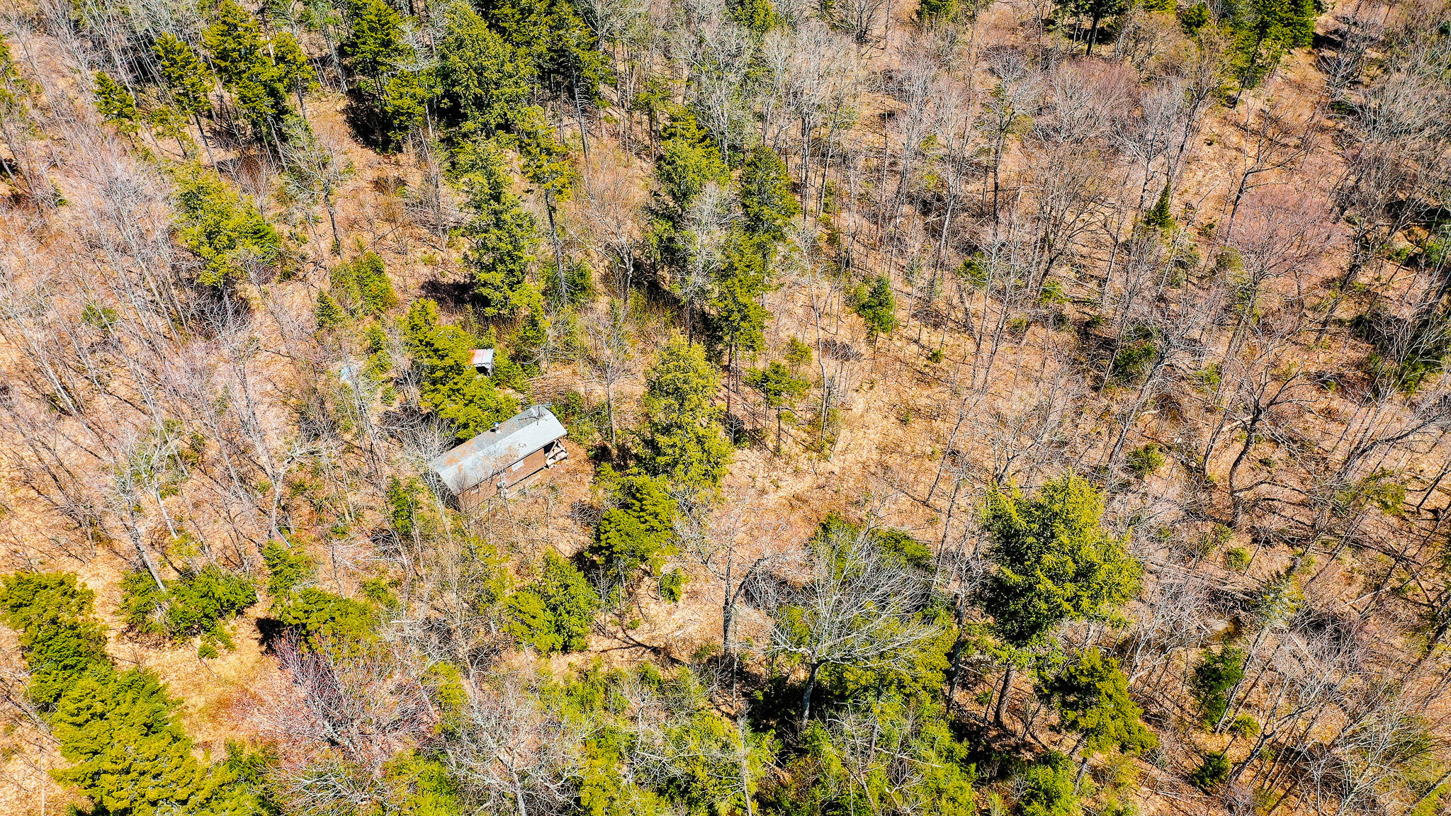 Lot 17.1 Blanchard Mountain Road New Portland, ME 04961 - Photo 16 of 30 186 Acres + Cabin!