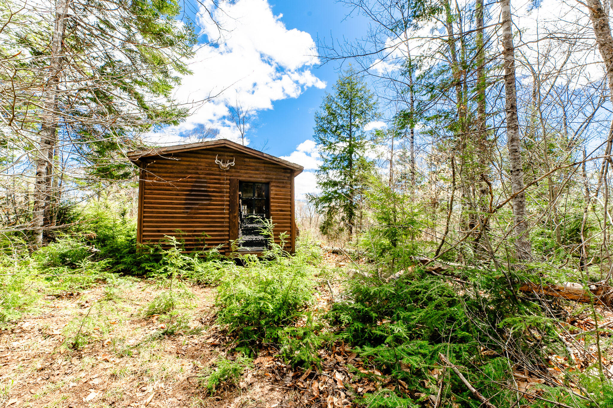 Lot 17.1 Blanchard Mountain Road New Portland, ME 04961 - Photo 22 of 30 186 Acres + Cabin!