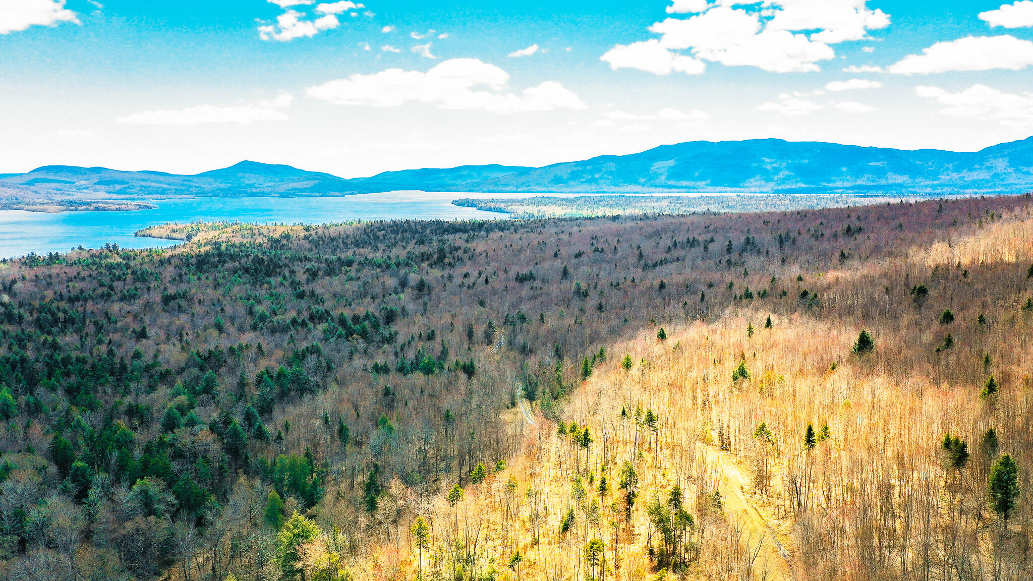 Lot 17.1 Blanchard Mountain Road New Portland, ME 04961 - Photo 6 of 30 186 Acres + Cabin!