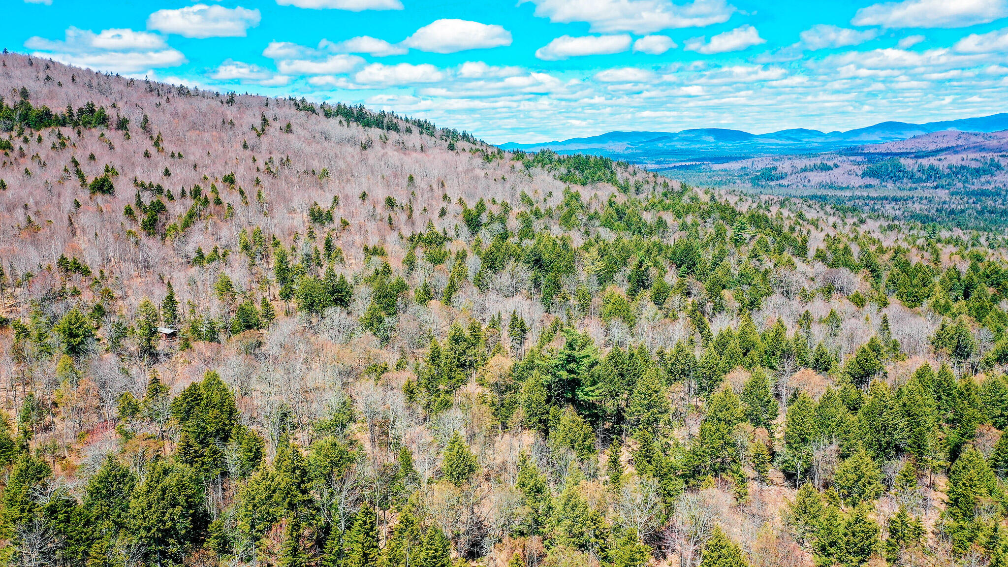 Lot 17.1 Blanchard Mountain Road New Portland, ME 04961 - Photo 7 of 30 186 Acres + Cabin!