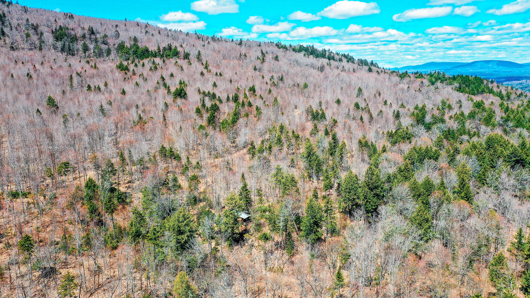 Lot 17.1 Blanchard Mountain Road New Portland, ME 04961 - Photo 8 of 30 186 Acres + Cabin!