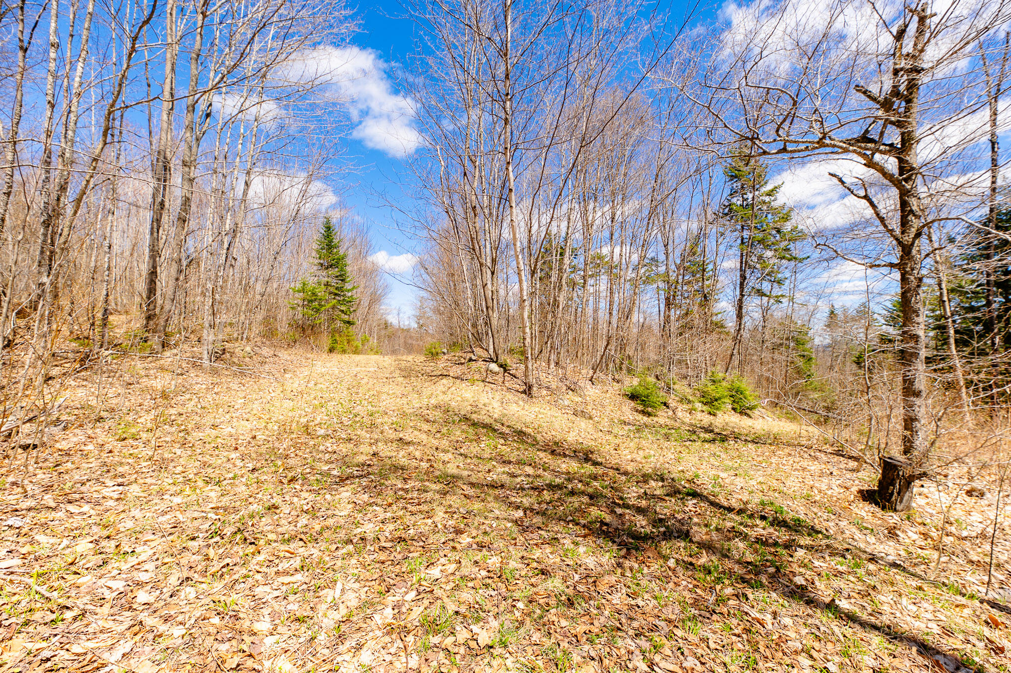 Lot 17.1 Blanchard Mountain Road New Portland, ME 04961 - Photo 10 of 30 Blanchard Mountain Road