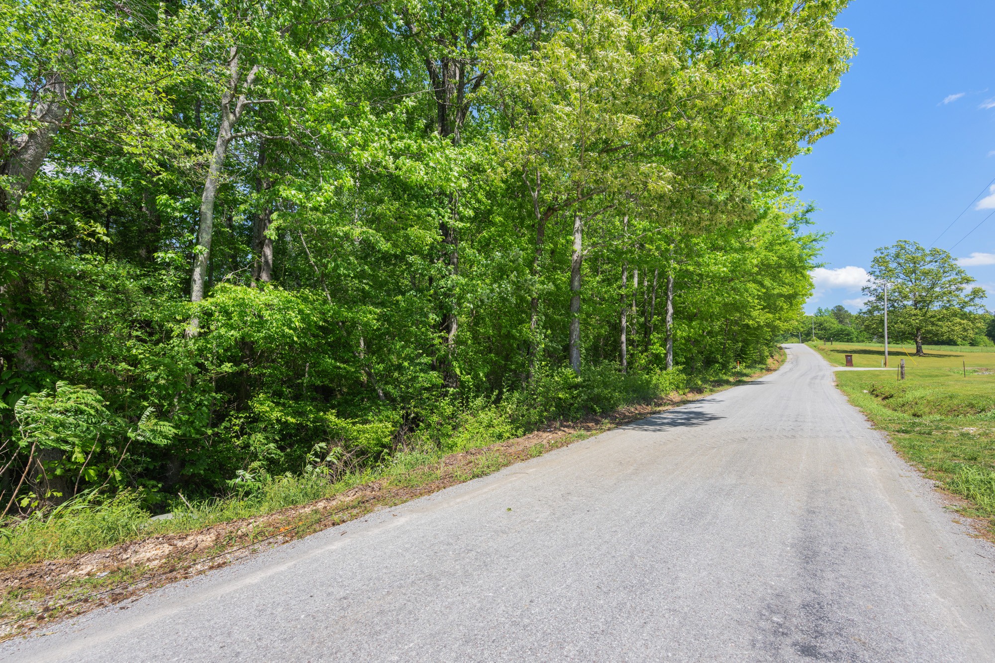 0 Mebane Cemetery Road Huntingdon, TN 38344 - Photo 3 of 14 a view of a garden