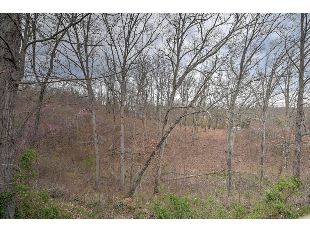 432 Lenoir Road Kingsport, TN 37660 - Photo 22 of 22 Photo 22