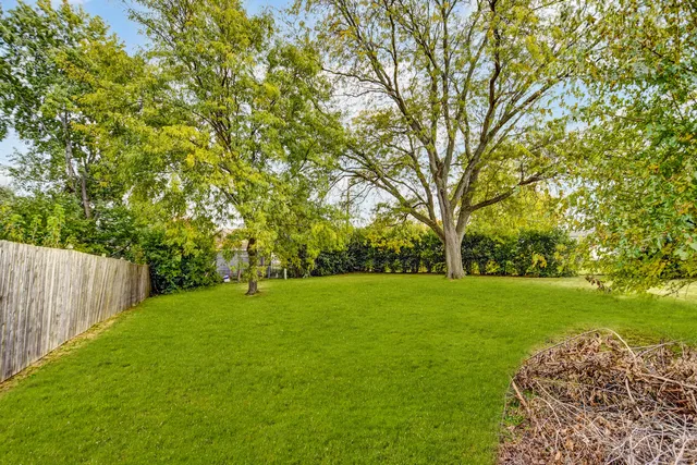 a view of a big yard with plants and large trees
