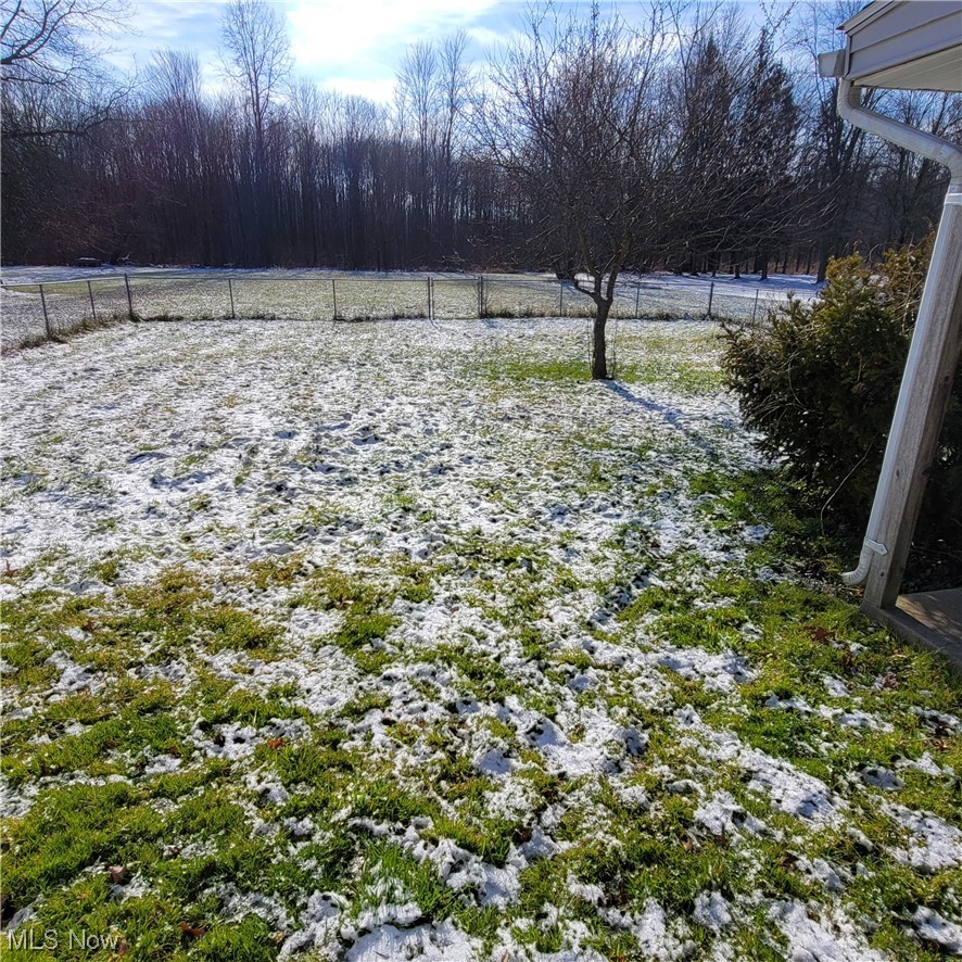3312 Warren - Sharon Road Vienna, OH 44473 - Photo 4 of 14 View of yard