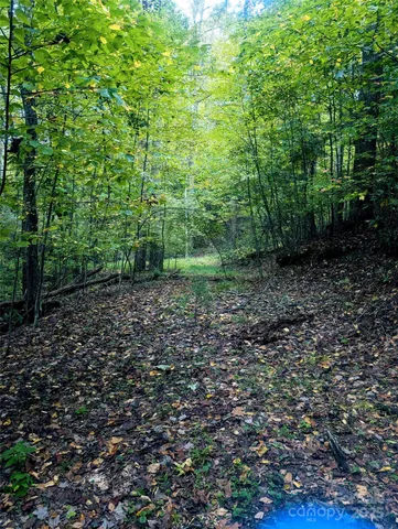 $95,000 | 0 Luxury Lake, Unit 5A/6A/7A, Hendersonville, NC 28739