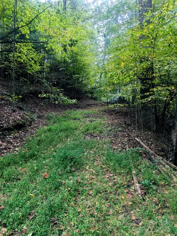 $95,000 | 0 Luxury Lake, Unit 5A/6A/7A, Hendersonville, NC 28739