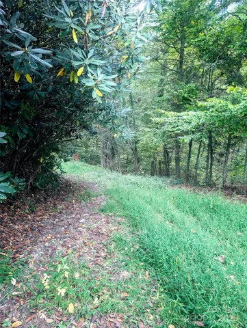 $95,000 | 0 Luxury Lake, Unit 5A/6A/7A, Hendersonville, NC 28739