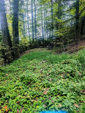 $95,000 | 0 Luxury Lake, Unit 5A/6A/7A, Hendersonville, NC 28739