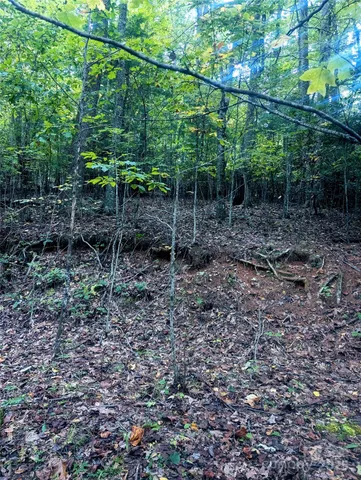 $95,000 | 0 Luxury Lake, Unit 5A/6A/7A, Hendersonville, NC 28739