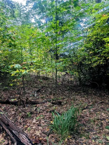 $95,000 | 0 Luxury Lake, Unit 5A/6A/7A, Hendersonville, NC 28739